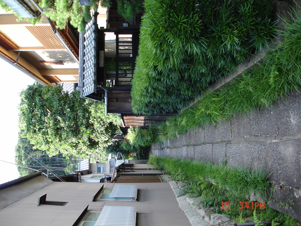 DSC01880.JPG