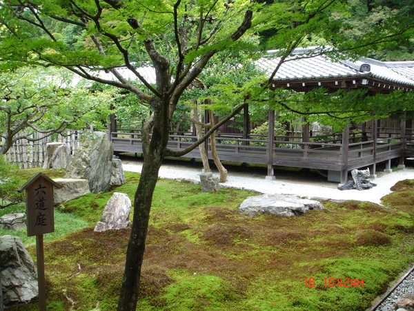 DSC01930.JPG
