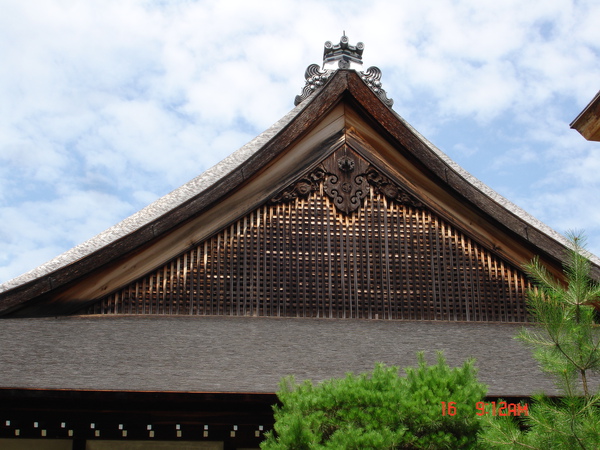 DSC01915.JPG