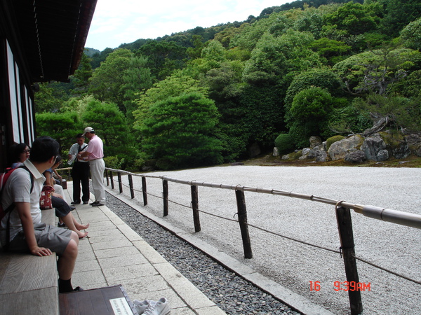 DSC01919.JPG