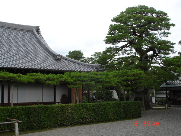 DSC02040.JPG