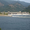 DSC00786.JPG