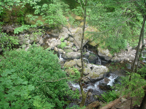 DSC00763.JPG