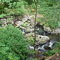 DSC00763.JPG