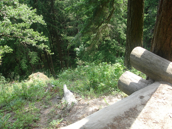 DSC00780.JPG