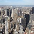 DSC00982.JPG