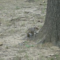 DSC01057.JPG