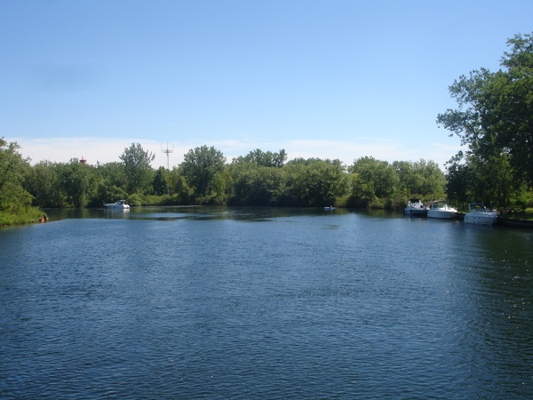 DSC01201.JPG