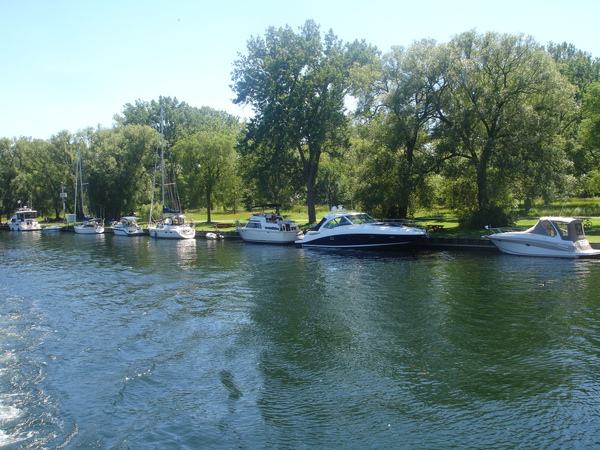 DSC01202.JPG
