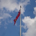 DSC01231.JPG