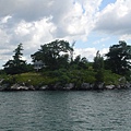 DSC01239.JPG