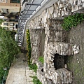 DSC01341.JPG