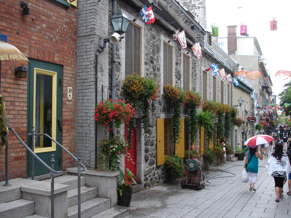 DSC01355.JPG
