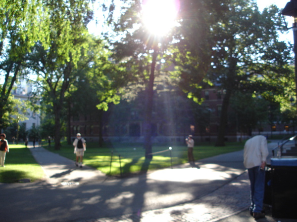 DSC01387.JPG