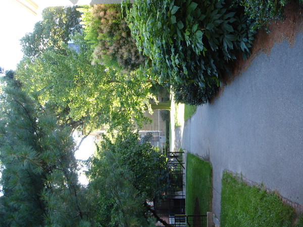 DSC01389.JPG