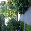 DSC01389.JPG