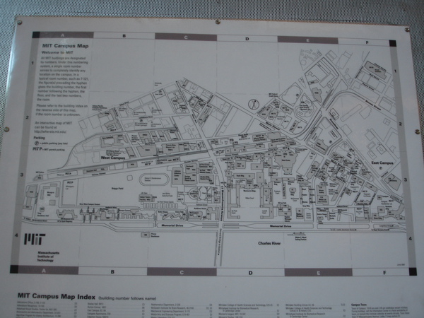 DSC01403.JPG