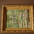 DSC01520.JPG