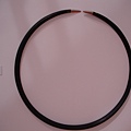 DSC01511.JPG