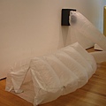 DSC01574.JPG