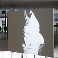 DSC01522.JPG