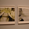 DSC01528.JPG