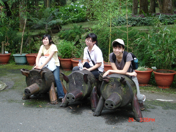 DSC01800.JPG