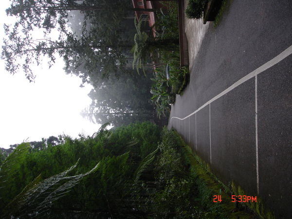 DSC01802.JPG