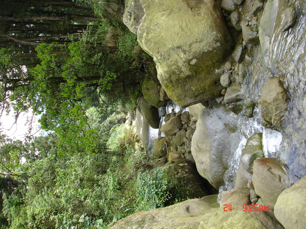 DSC01781.JPG