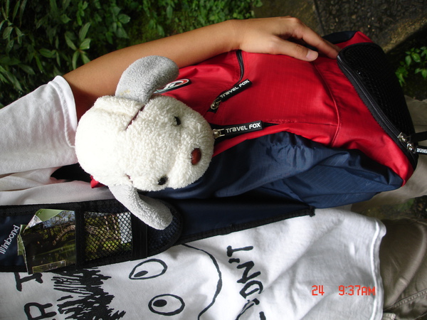 DSC01782.JPG