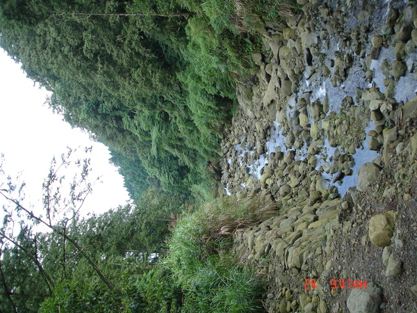 DSC01783.JPG