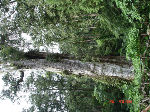 DSC01784.JPG