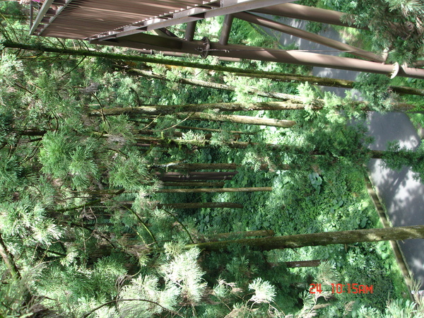 DSC01785.JPG