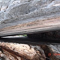 DSC01702.JPG