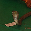 DSC01711.JPG