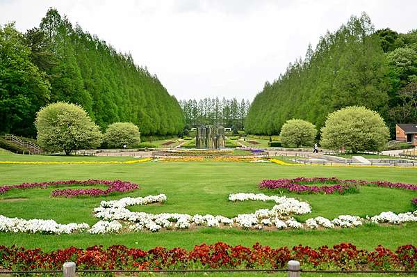 105 4 18 24 日本東京春之旅 相模原麻溝公園 綜合公園 相模原沉殿池 Ssupermamatwhttp Ssupermamatw Pixnet Net Blog的部落格 超級阿嬤的世界遊 痞客邦