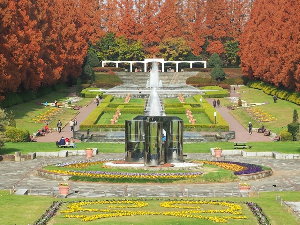 16 12 4 県立相模原公園グリーンハウス 秋景 落羽松 Ssupermamatwhttp Ssupermamatw Pixnet Net Blog的部落格 超級阿嬤的世界遊 痞客邦 16 12 4 県立相模原公園グリーンハウス 秋景 落羽松 Ssupermamatwhttp Ssupermamatw Pixnet Net Blog的部落格 超級阿嬤的世界遊 痞客邦