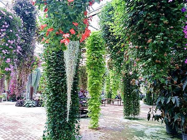17 6 12 静岡県掛川市加茂荘花鳥園 Ssupermamatwhttp Ssupermamatw Pixnet Net Blog的部落格 超級阿嬤的世界遊 痞客邦