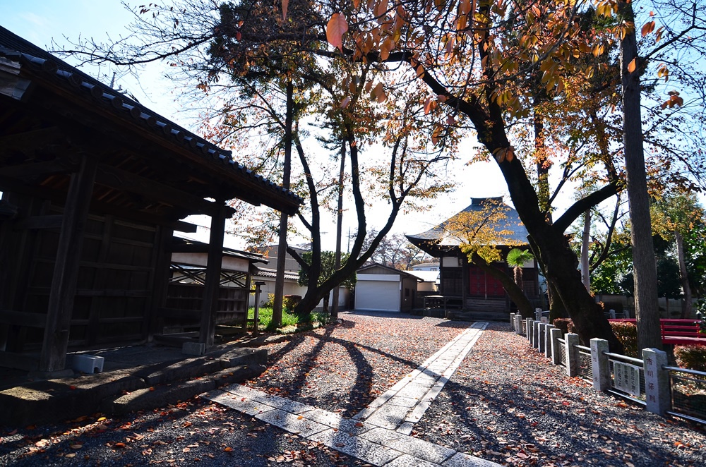 107_11_20-27_秋季東京之旅「トーベ・ヤンソンあけ