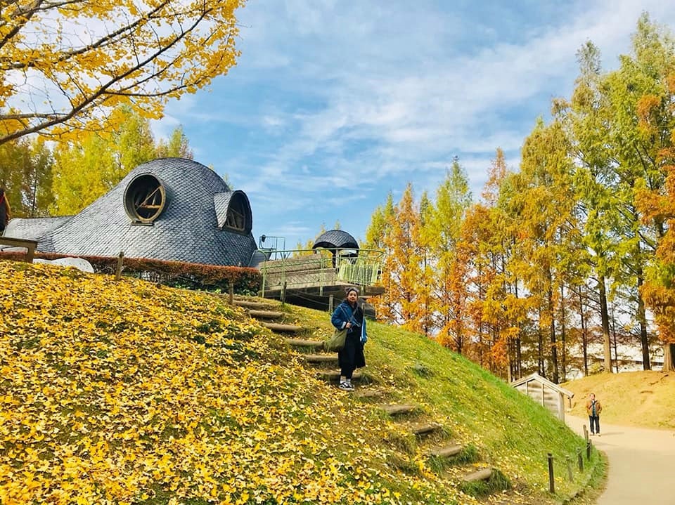 107_11_20-27_秋季東京之旅「トーベ・ヤンソンあけ