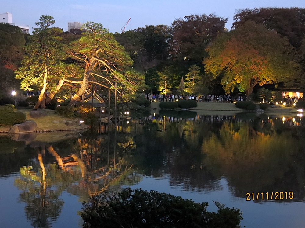 107_11_20-27_秋季東京之旅_賞楓名園「六義園」