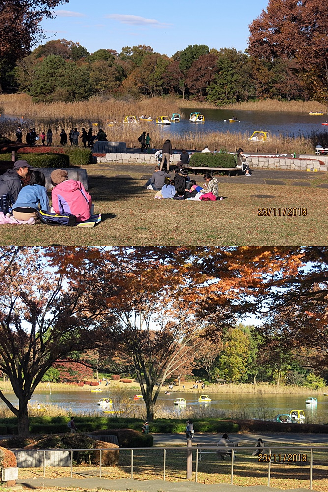 107_11_20-27_秋季東京之旅(昭和紀念公園無料花火