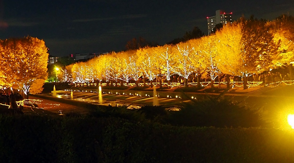 107_11_20-27_秋季東京之旅(昭和紀念公園無料花火