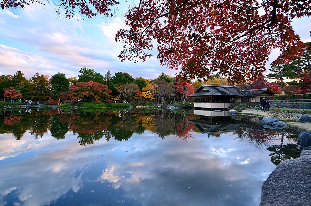 107_11_20-27_秋季東京之旅(昭和紀念公園日本庭園