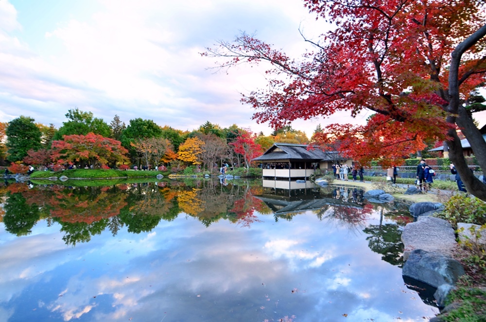 107_11_20-27_秋季東京之旅(昭和紀念公園日本庭園