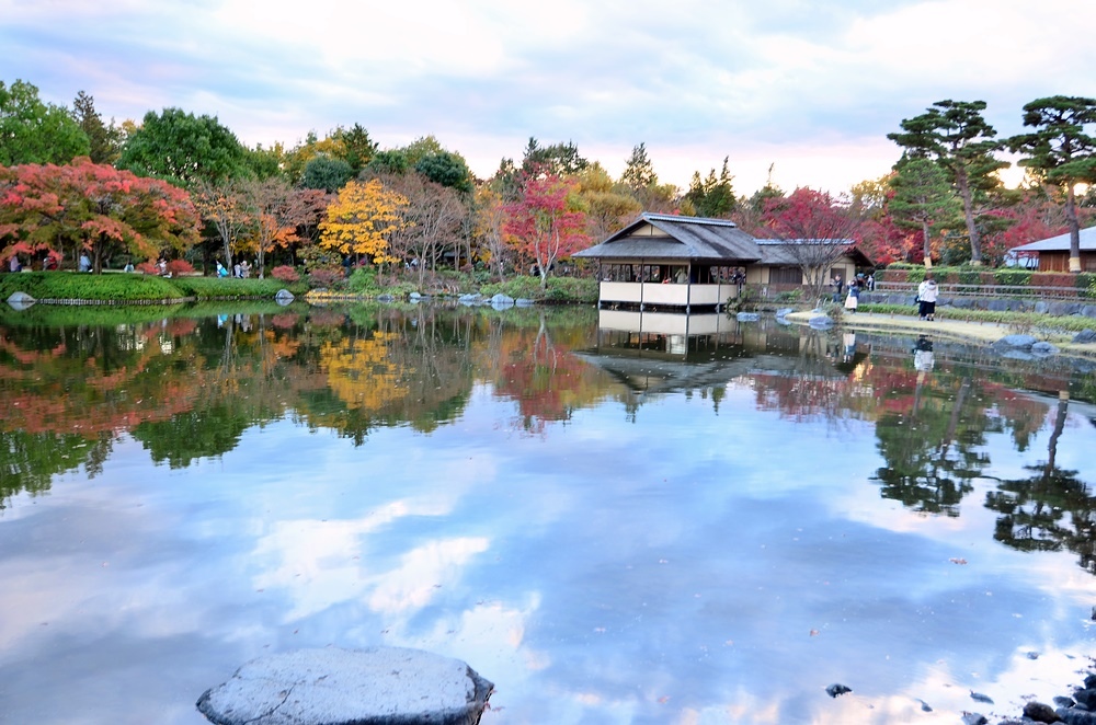 107_11_20-27_秋季東京之旅(昭和紀念公園日本庭園