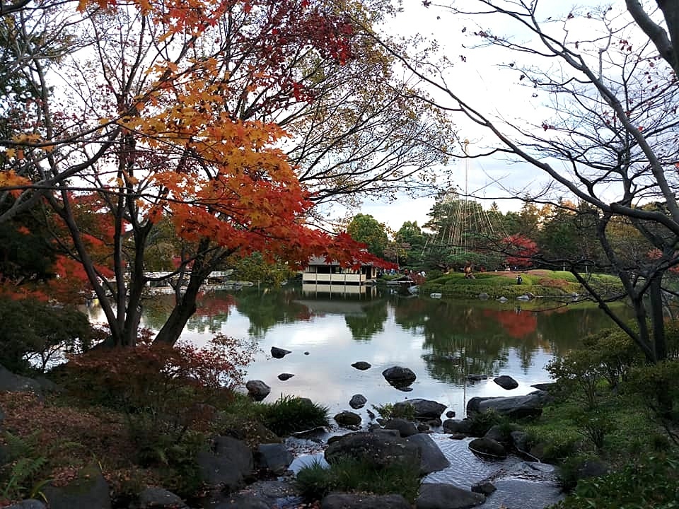 107_11_20-27_秋季東京之旅(昭和紀念公園日本庭園