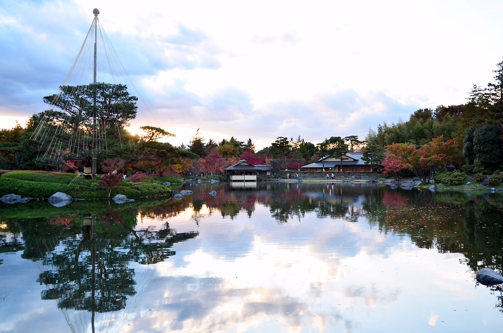 107_11_20-27_秋季東京之旅(昭和紀念公園日本庭園