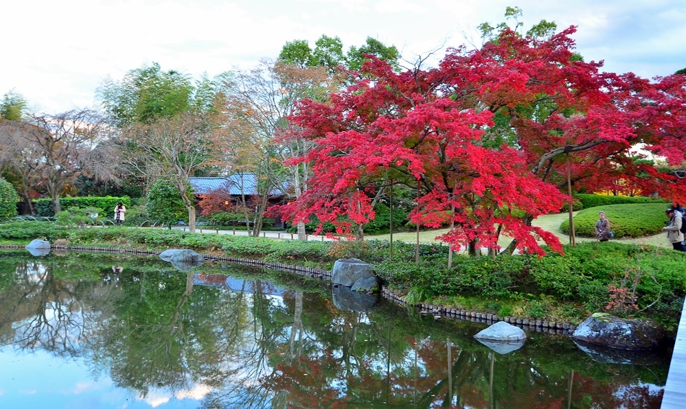 107_11_20-27_秋季東京之旅(昭和紀念公園日本庭園