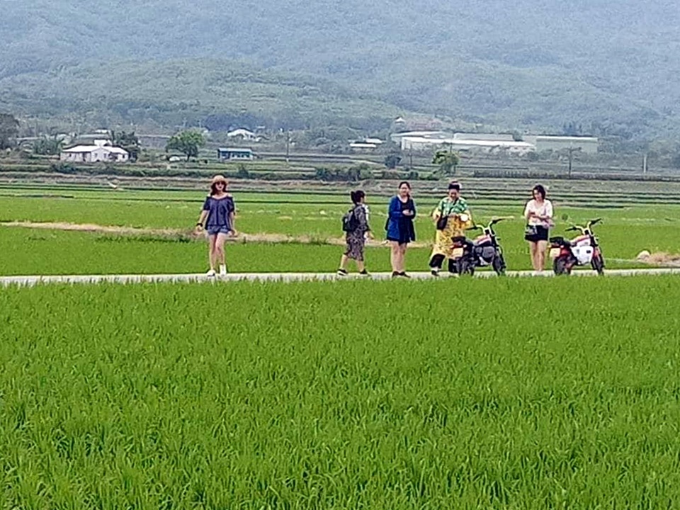 2019_8~11~13_夏季台東三日遊~《漂鳥197-縱谷